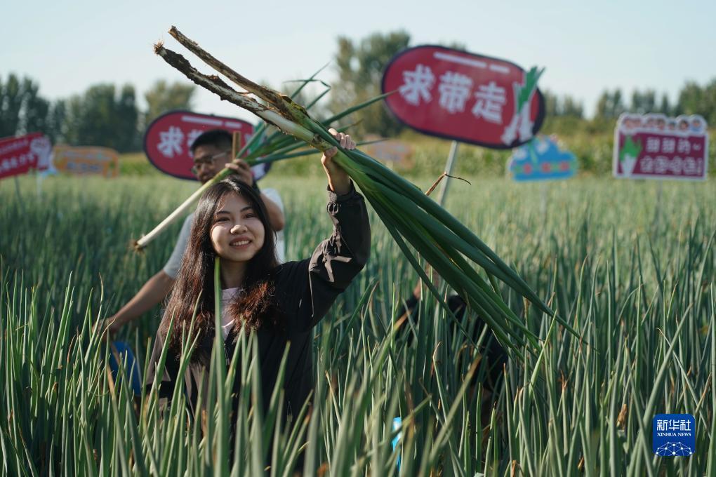 mg幸运双星漏洞